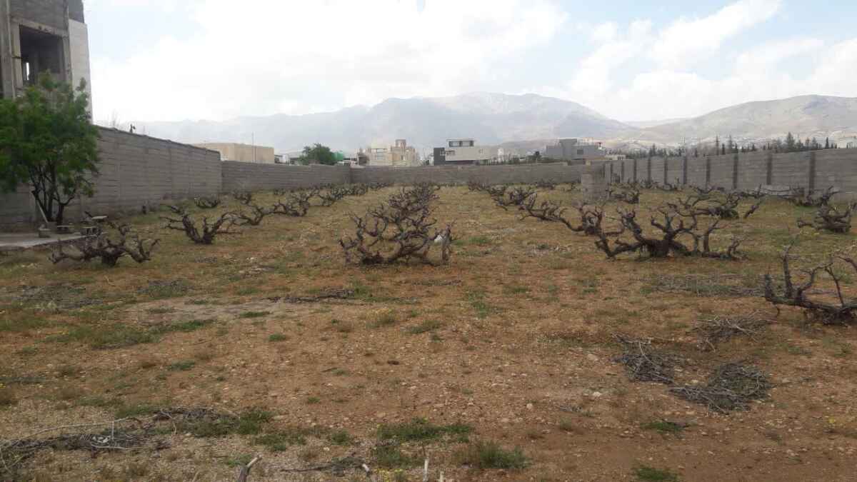 آپلود فایل: img-20230328-wa0025