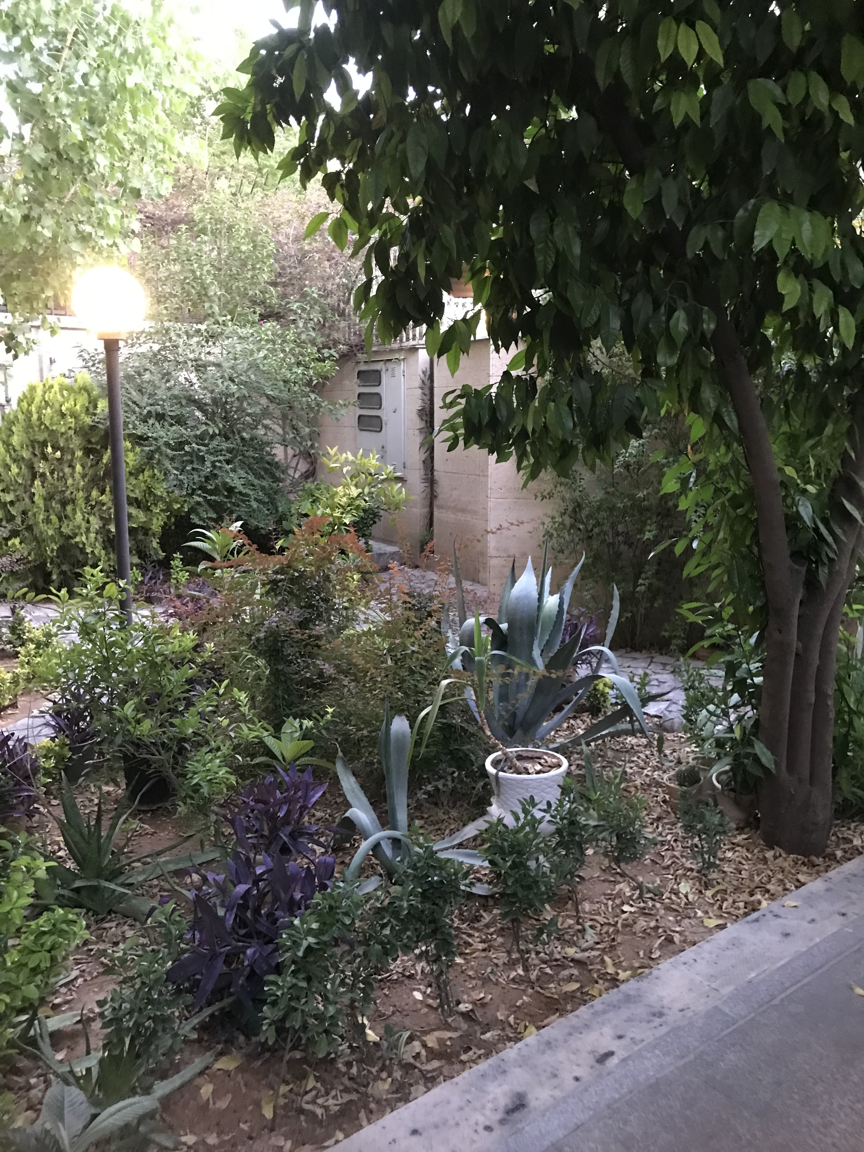 51702869-6FD9-4CAB-A60A-1779D4DDC7FC